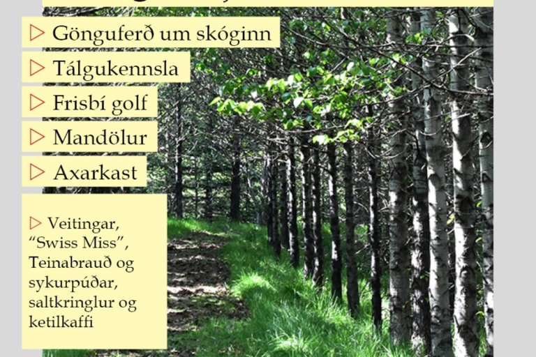 Stækka mynd