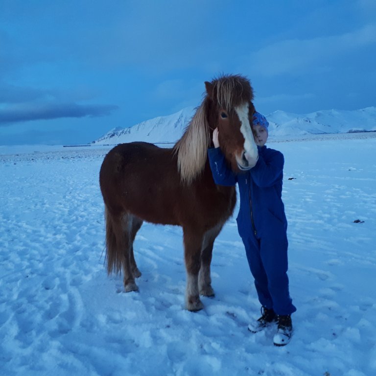 20180130_174305jpg-birna-2