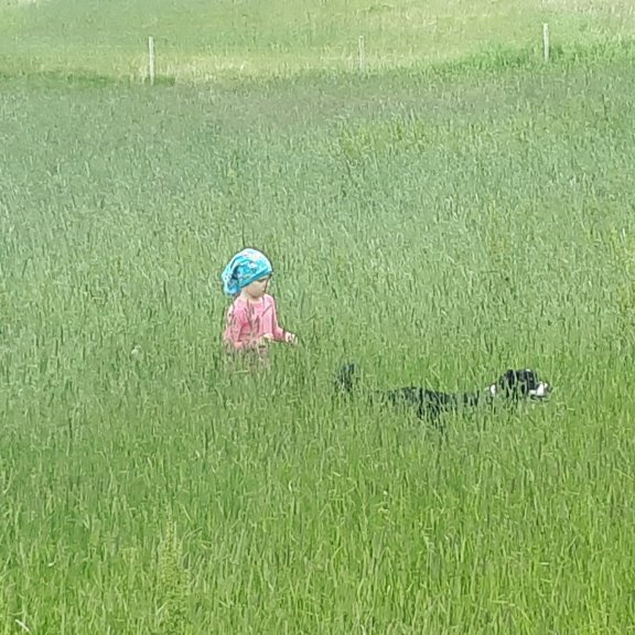 20180730_133107jpg-birna-1