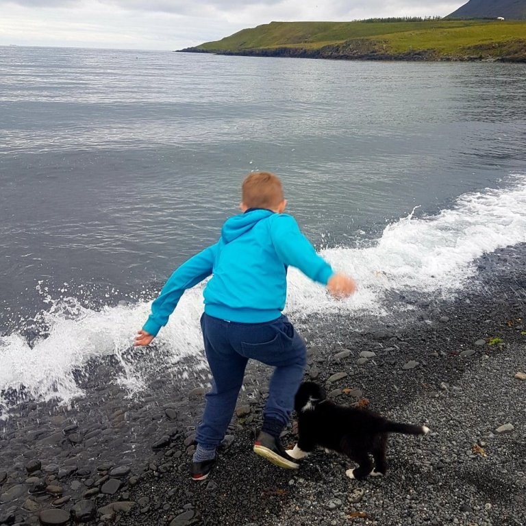 20180824_170255jpg-brynja-1