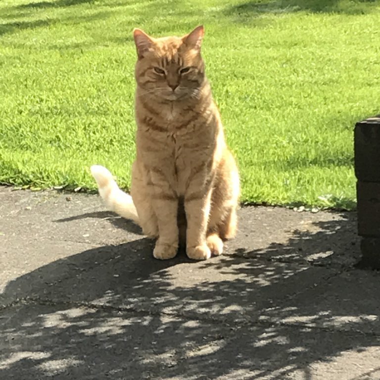 img_2792jpg-stefania-1