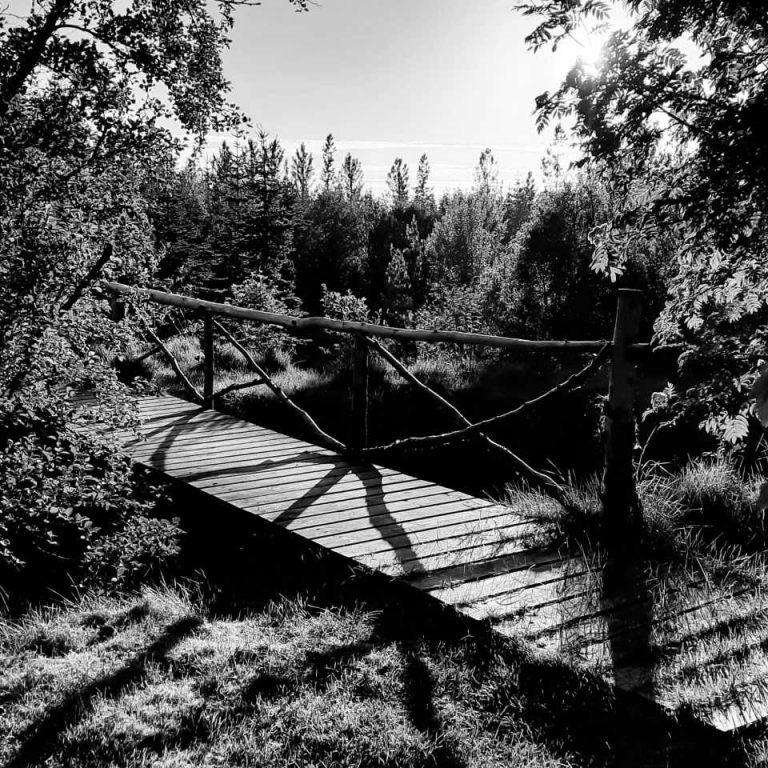 mynd-14-gongubrusvarthvit-mynd