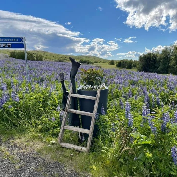 288485922_7579030515505144_7866621820109688616_n