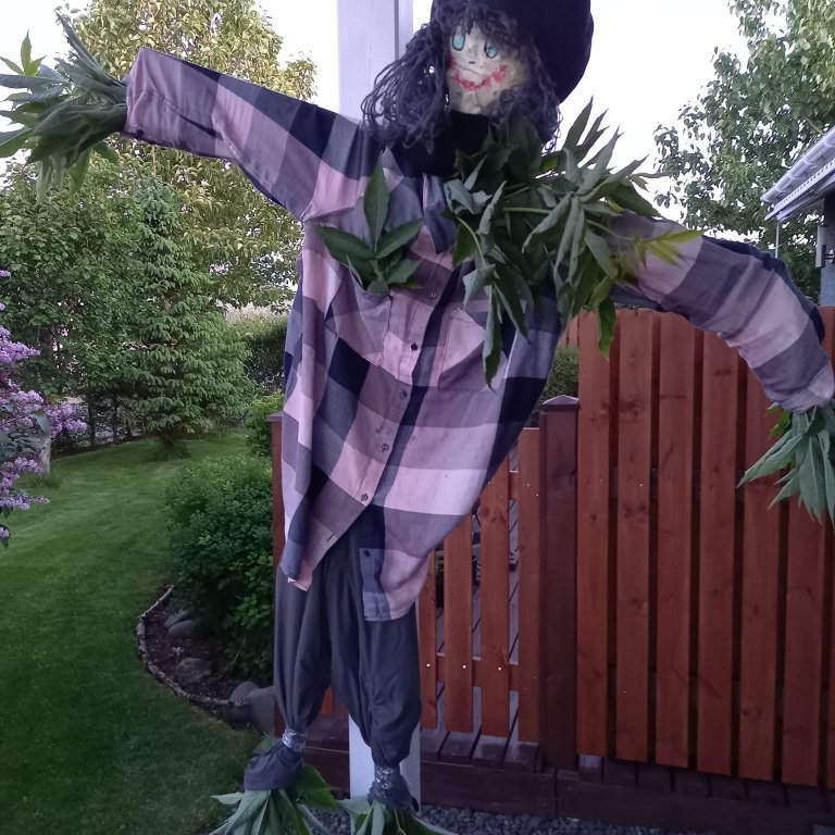 288962593_7579030462171816_5281484529581002214_n