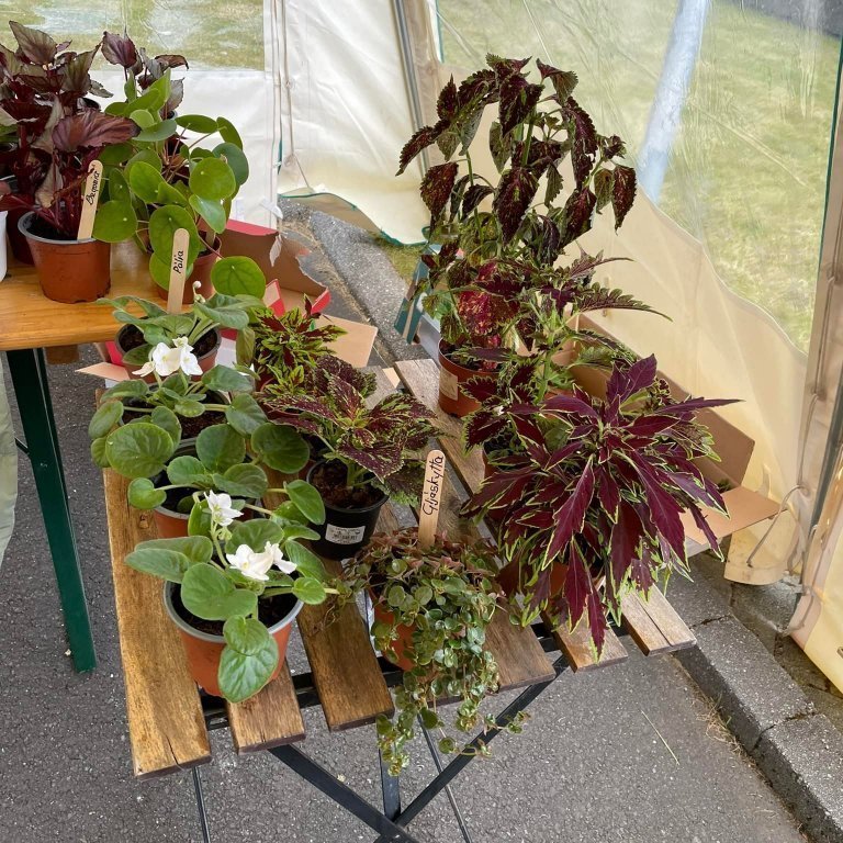 290334318_7579570012117861_1141377449322826114_n