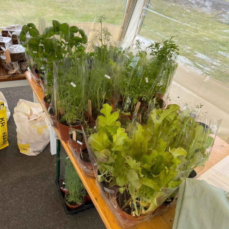 290381246_10228385757486315_3929024699823496336_n