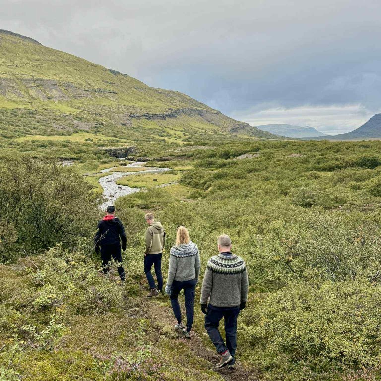 attt2uxqio9xy8wwm-lkgfs2yjdzuhgydm2fts2ztjdx-g