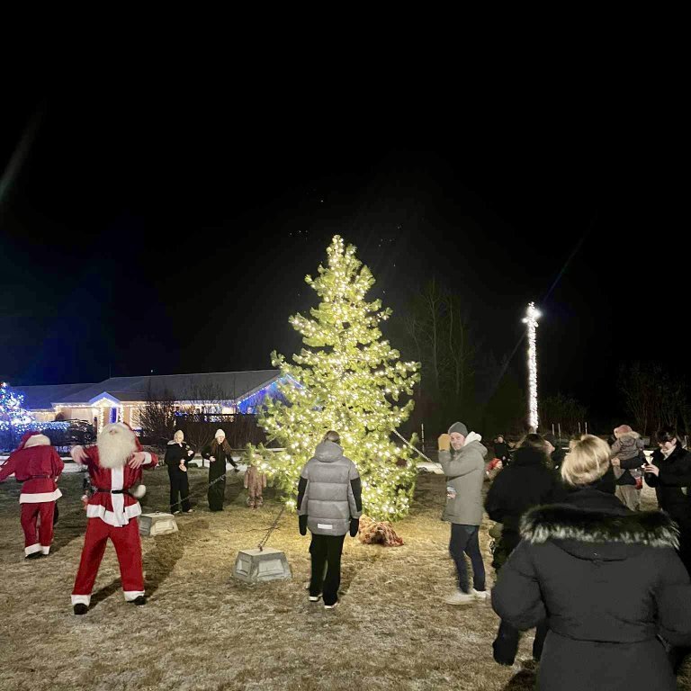 atttk1enmglprsvkdaeaiefdtyxrrg-sy2pmtrnbpwyrdg