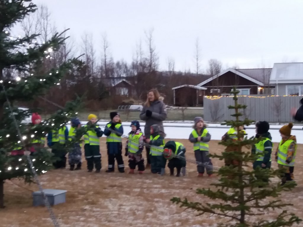 20201124_101446.jpg
