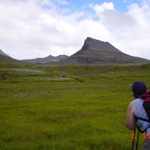 leggjabrjotur