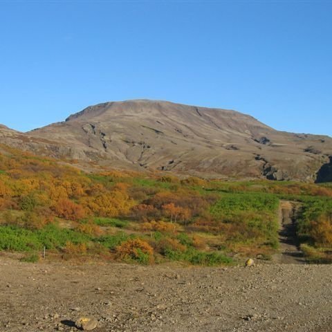 picture-014