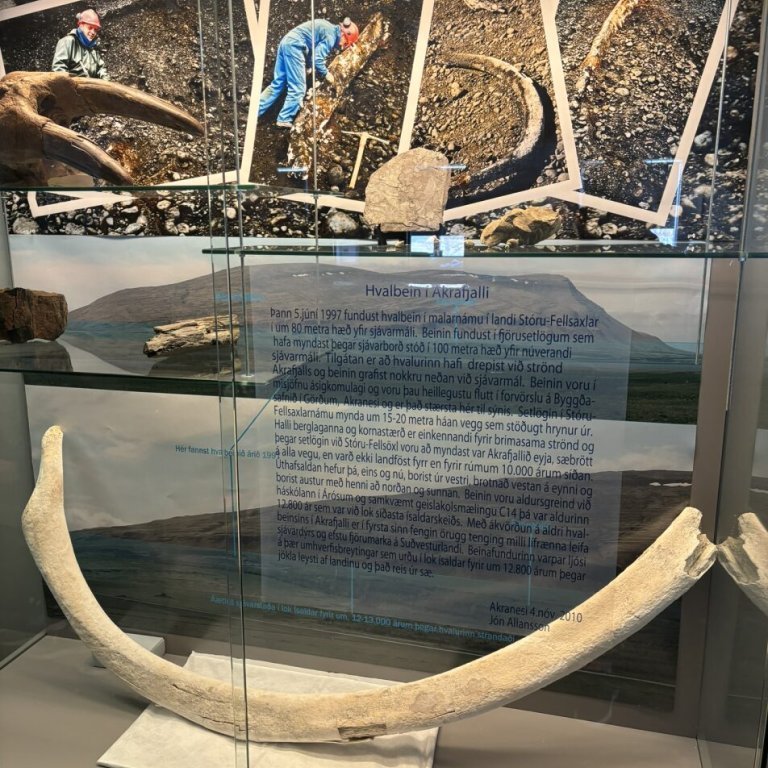 2f2b3d95-a3cf-47a3-aa95-c545058eba57