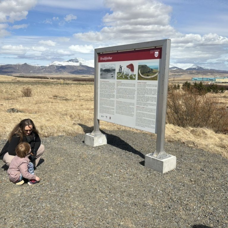 605b3539-4de3-4b05-b844-753389c455c4