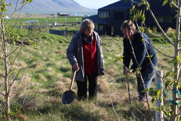 Gróðursetning við Heiðarskóla