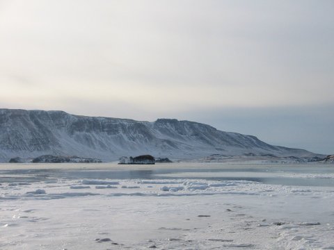 Sveitarstjórnarfundir í desember 2020