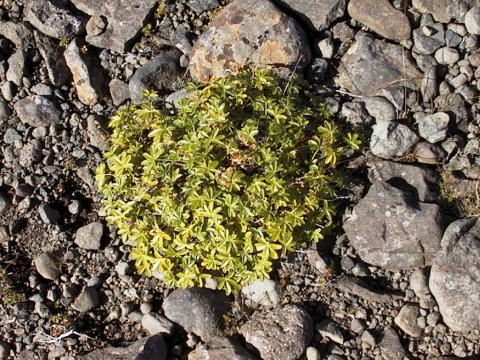 357. fundur sveitarstjórnar Hvalfjarðarsveitar