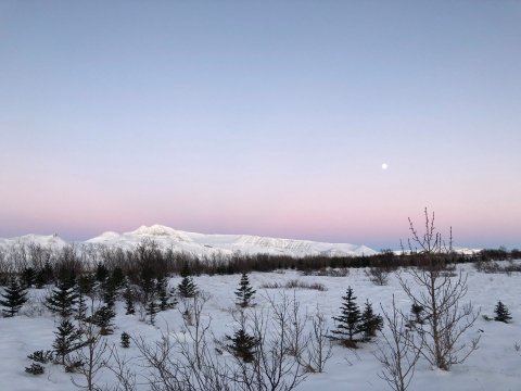 Opið hús 60 ára og eldri í Hvalfjarðasveit