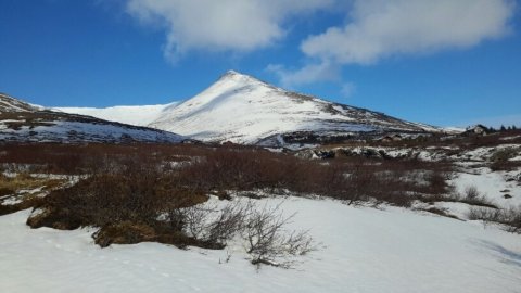 Fréttabréf sveitarstjórnar