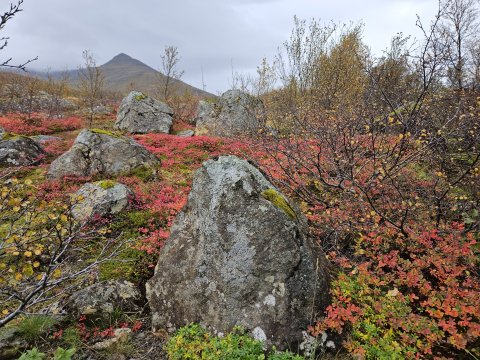 Íbúaþing – Sóknaráætlun Vesturlands 2025-2029