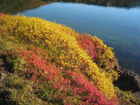 Leirá L133774 - Deiliskipulag