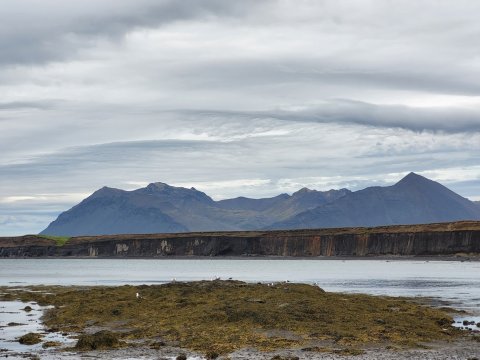 Narfabakki - deiliskipulag