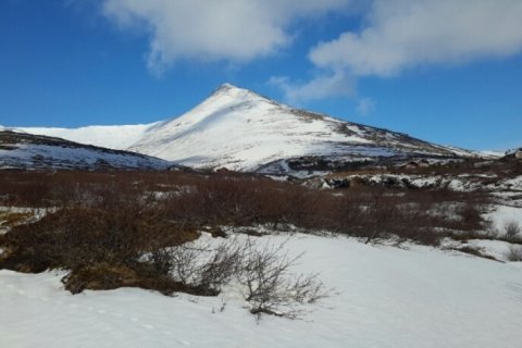 Slökkvitæki til yfirferðar.
