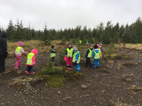 Starfsmaður óskast í Skýjaborg í 60% stöðu matráðar.