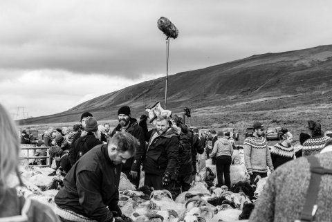 Upptökur á sjónvarpsþætti í Svarthamarsrétt