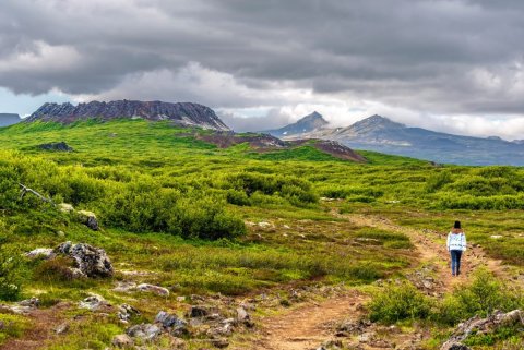 Verkefnastjóri innleiðingar farsældar á Vesturlandi