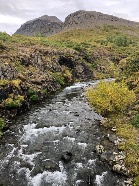 Stafrænt umsóknarferli fyrir fjárhagsaðstoð