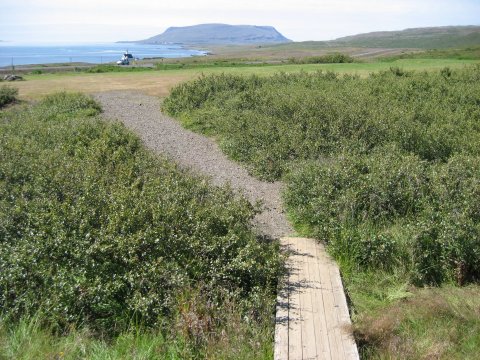 Sumarstörf hjá Hvalfjarðarsveit