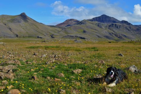 Breytingar í skólastarfi frá og með 4. maí nk.