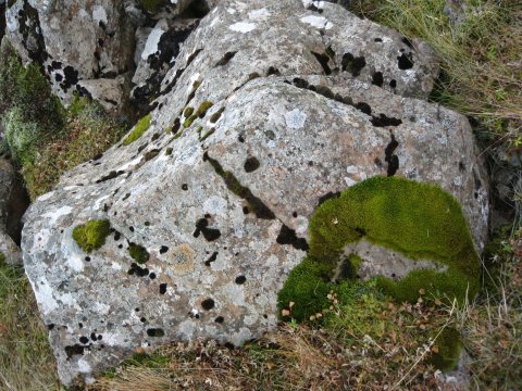 Gröf II - deiliskipulag