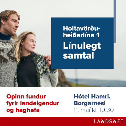 Holtavörðuheiðarlína 1