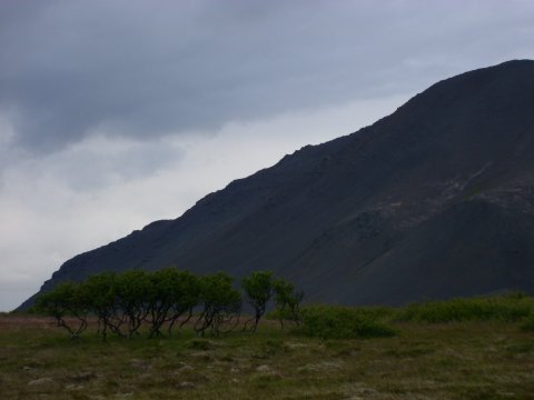 Lýsingartillaga í landi Leirár - deiliskipulagstillaga
