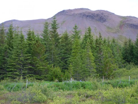 Aðalskipulag Hvalfjarðarsveitar 2020-2032