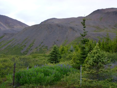 Leirá – Breyting á Aðalskipulagi 2020 - 2032
