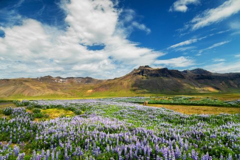 Opinn fundur fyrir ferðaþjónustuna