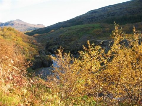 Breytingar í félagsþjónustu, barnavernd og málefnum fatlaðra