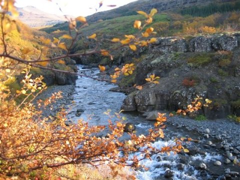Nýsköpunarsetur á Grundartanga - umsóknir