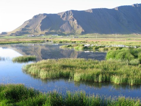 Kynning á breytingu á aðalskipulagi Hvalfjarðarsveitar. Skipulagslýsing-Móar