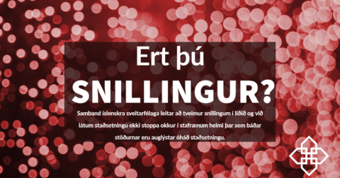 Störf án staðsetningar