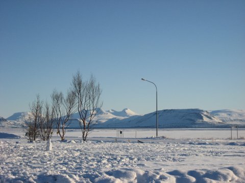 Fundir sveitarstjórnar í desember 2019.